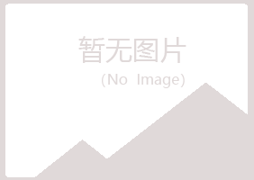 铁东区冰夏司法有限公司